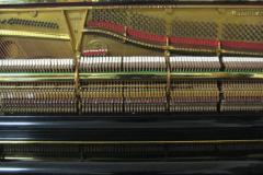 64