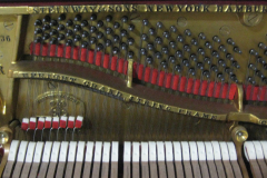 66
